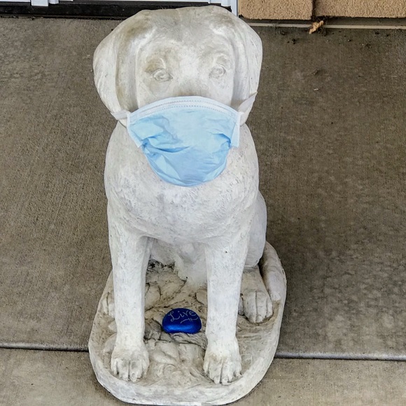 Meet your Posher, Sandra - Picture 3 of 6